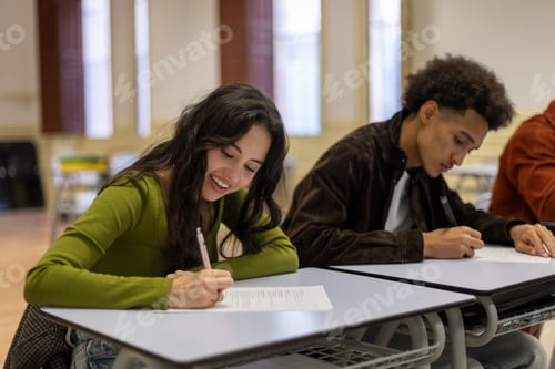 Preview: Cheerful student writing exam in school classroom