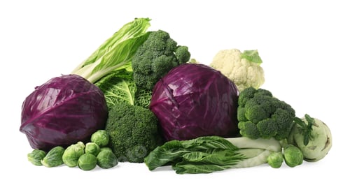 Preview: Many different fresh ripe cabbages on white background