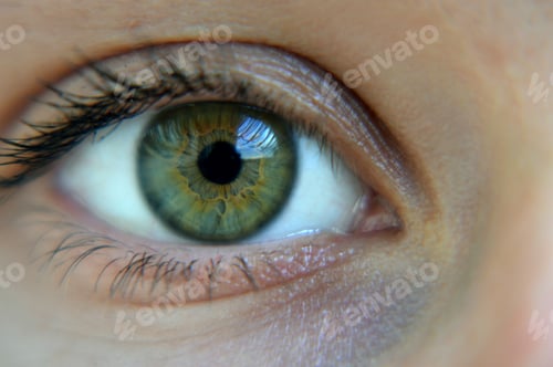 Preview: Macro shot of a beautiful green human eye