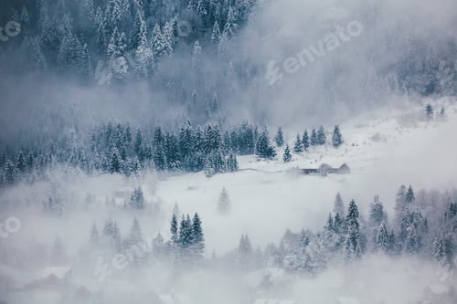 Preview: Winter postcard.