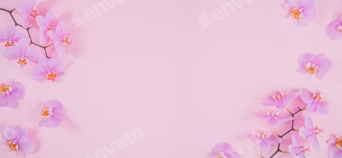 Preview: Purple orchid flowers on a light pink background.