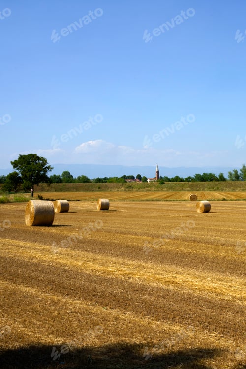 Preview: Country landscape near Longare, Vicenza, Italy