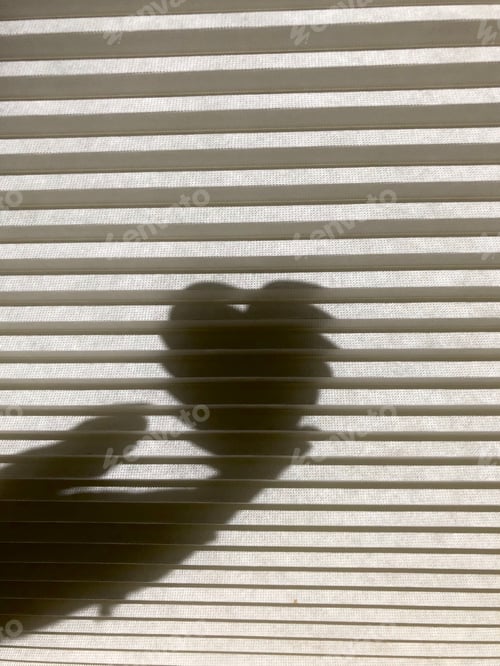 Preview: Heart & hand shadows reflected on shades as a result of the sun’s light through the window.