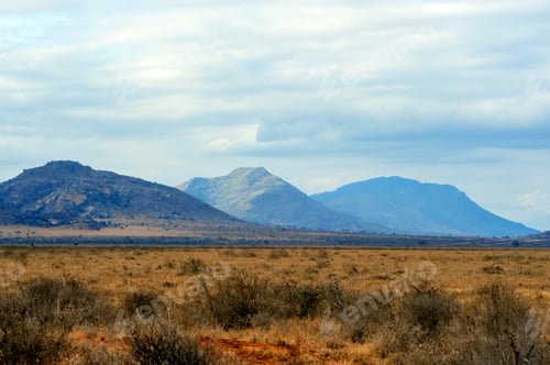 Preview: Savannah landscape in the National park of Kenya