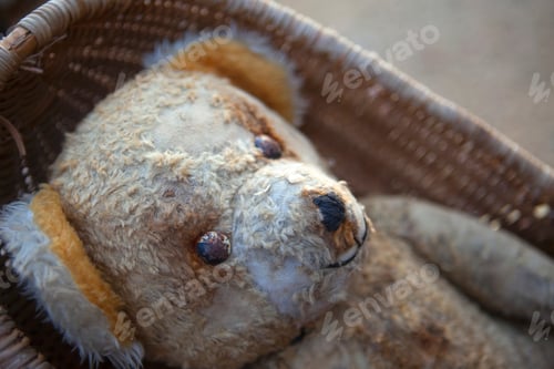 Preview: Teddy bear