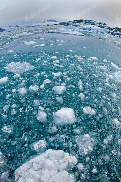 Preview: Drift floating Ice, Albert I Land, Norway