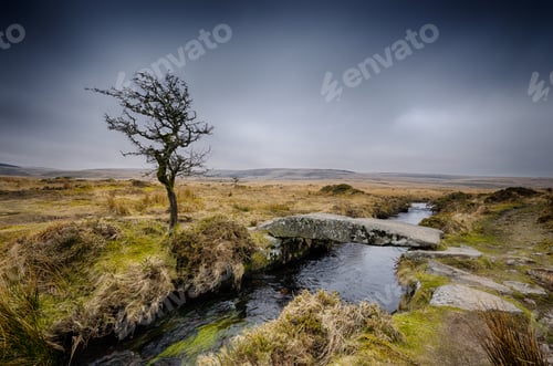 Preview: Winter on Dartmoor