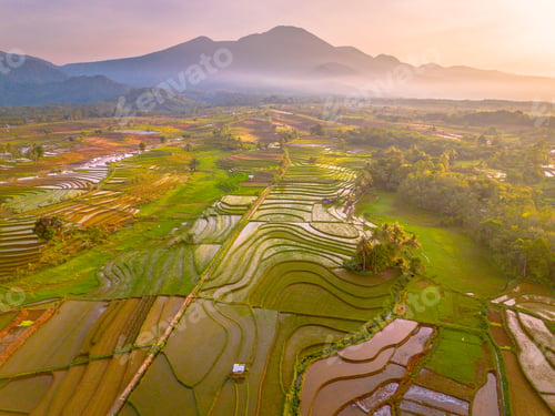 Preview: Beautiful morning view in Indonesia, panoramic landscape of rice fields with mountain