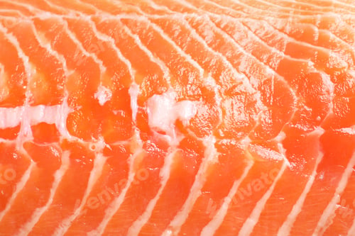 Preview: Raw salmon fillet as background, closeup