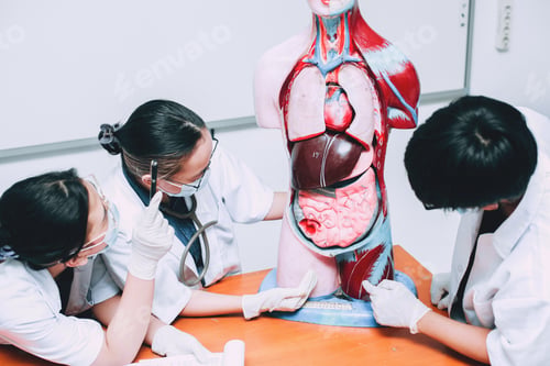 Preview: Three Young Doctors