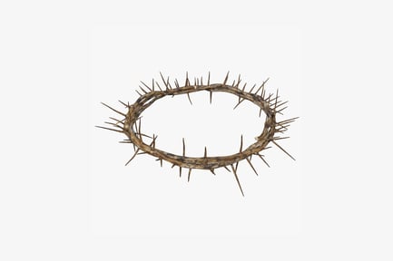 Preview: Crown of thorns spiked circular arrangement