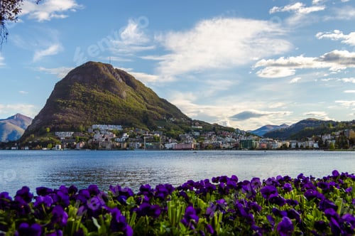 Preview: Lake Lugano and flowers with view of a hill