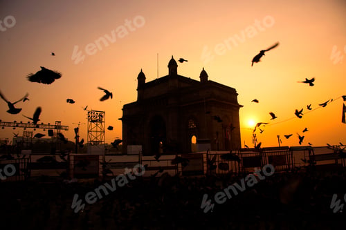 Preview: Seagull birds flying near Gateway Of India, Mumbai at sunset