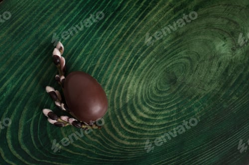 Preview: Chocolate egg and branches on a green background. View from above.