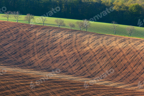 Preview: Beautiful minimalistic landscape with striped wavy fields
