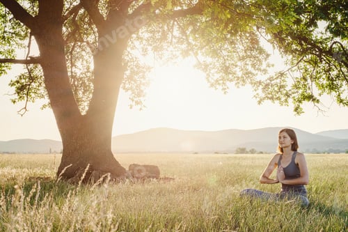 Preview: Attractive woman practices yoga in nature in summer.