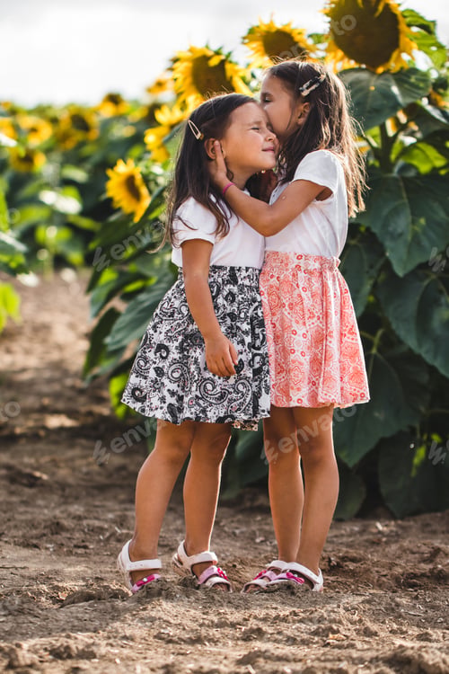 Preview: Little girls among of a sunflower among a field of sunflowers in the evening. Summer concept