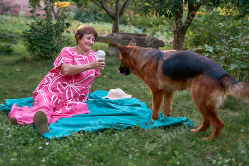 Preview: a Senior woman relaxing on a picnic blanket with german shepherd dog and coffee in a garden
