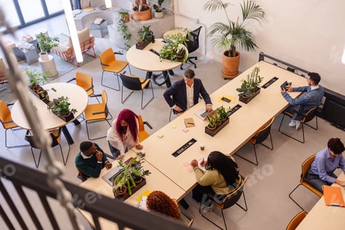Preview: Diverse business team collaborating in a modern open plan office