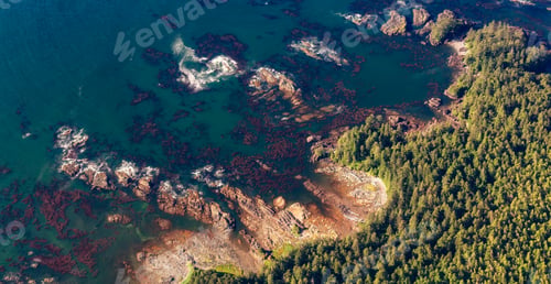 Preview: Rocky Ocean Coast on Pacific Ocean. Aerial Canadian Nature Background