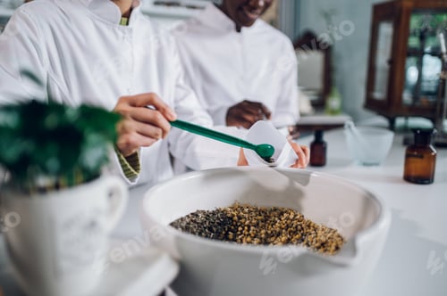 Preview: Pharmacist's hands putting a tea in a bag. Alternative medicine.