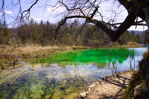 Preview: Scenic view of a large lake surrounded by lush green trees, Plitvice National Park, Croatia