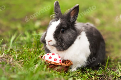 Preview: Easter Bunny eggs found in a small basket