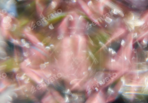 Preview: The colorful abstract background