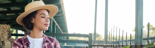 Preview: young and pretty african american woman in straw hat on farm, banner