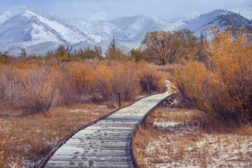 Preview: Autumn in Sierra Nevada