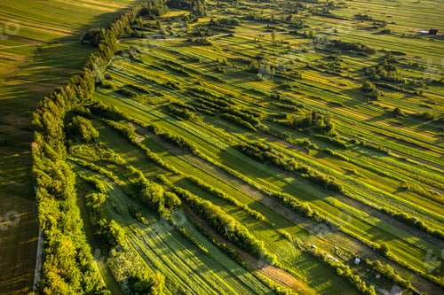 Preview: Farm fields aerial drone view at summer. Agriculture landscape at sunrise