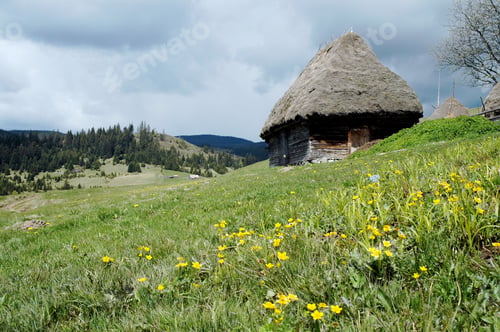 Preview: Wooden lodge with thatched roof in the mountains. Transylvania, Romania