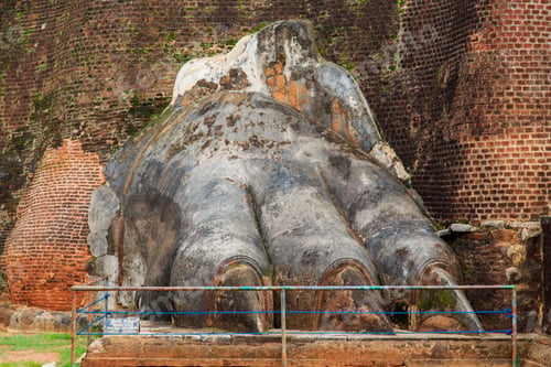 Preview: Lions paw at Sigiriya, Sri Lanka