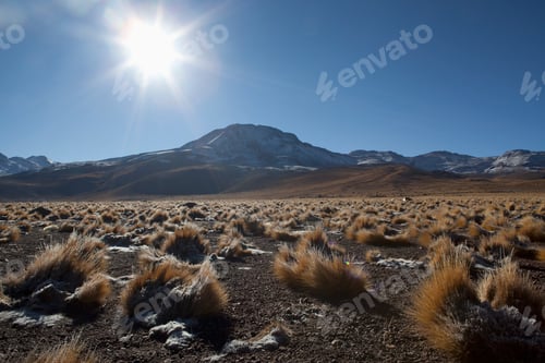 Preview: Altiplano, High Plateau, San Pedro de Atacama, Antofagasta, Chile