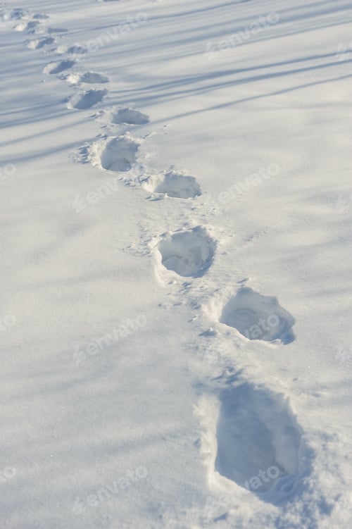 Preview: tracks on the snow