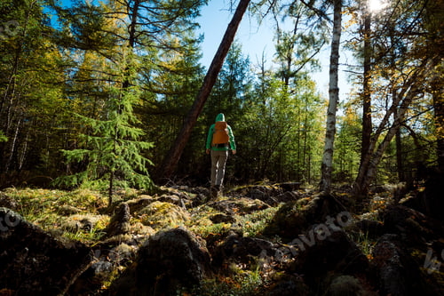 Preview: Solo hiking woman walking in the sunrise autumn forest