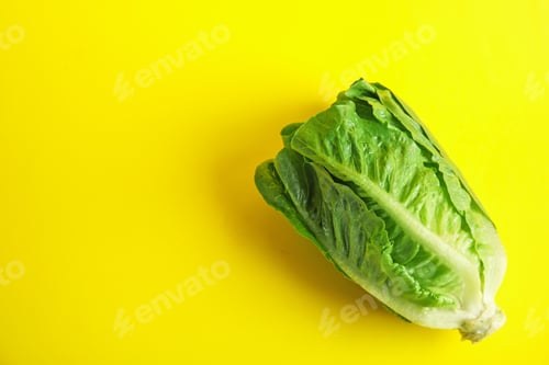 Preview: Fresh ripe cos lettuce on color background