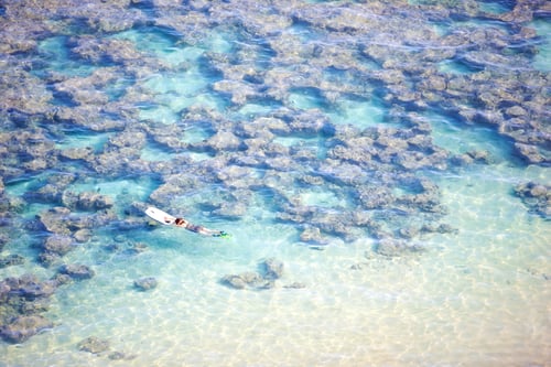 Preview: Icon photo of tropical dreams - a blue lagoon.