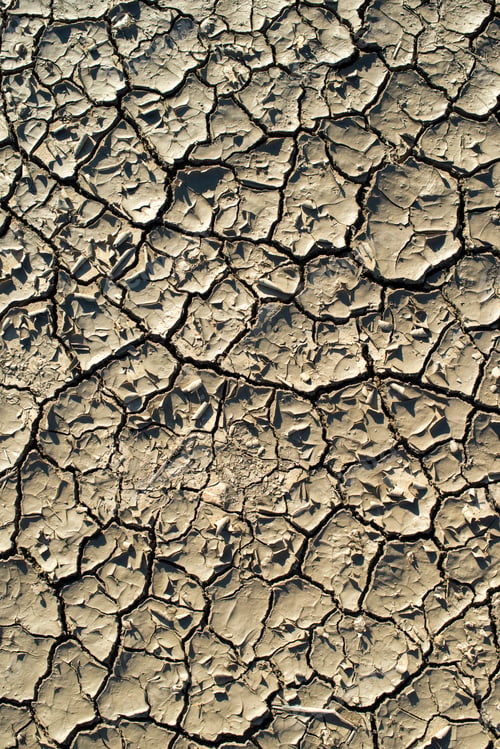 Preview: Cracked soil texture. Hard shadows and sun. Dried ground.
