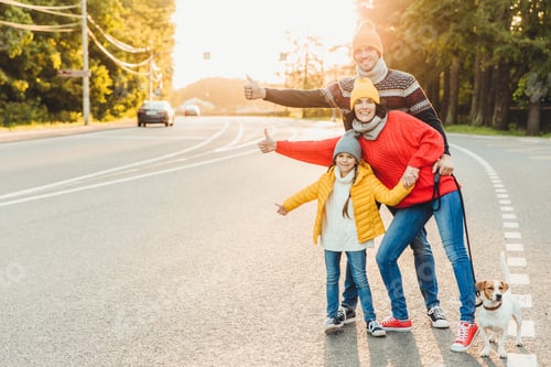 Preview: Portrait of family: mother, father and little daughter walk with pet, stand on road