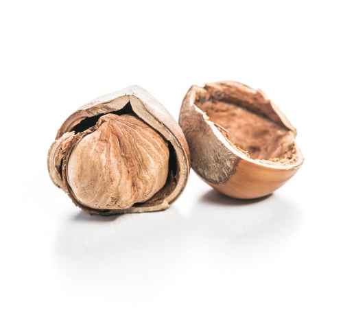 Preview: Freshly cracked hazelnut showing its creamy interior on a bright background