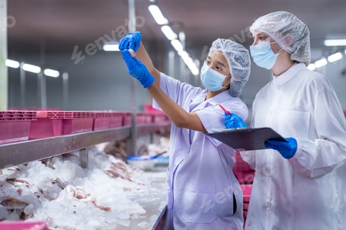 Preview: The research team inspected the seafood production line and machinery.