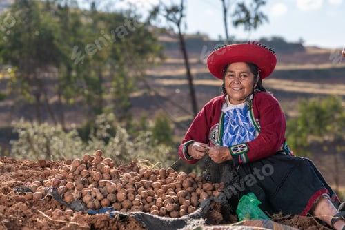 Preview: Aged ethnic woman near harvested potato