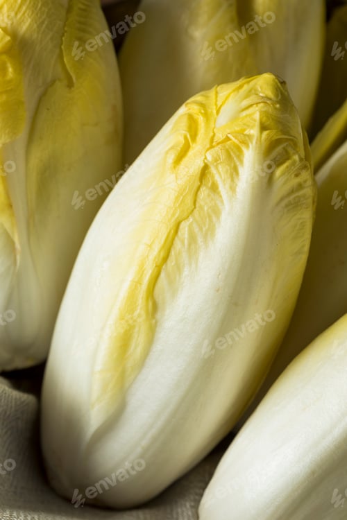 Preview: Raw Organic Belgian Endive