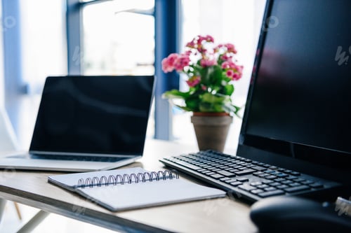 Preview: close up view of empty textbook, laptop, flowers in pot, computer, computer keyboard and computer