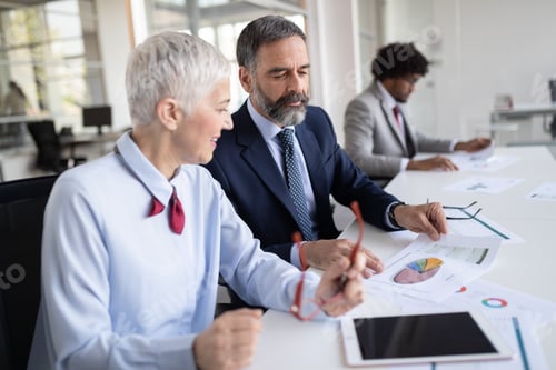Preview: Business Professionals Reviewing Charts in an Office