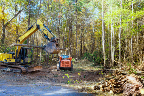 Preview: In preparation for constructing a new home builder uproots trees from forest with tractor
