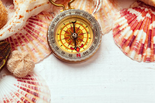 Preview: beautiful sea composition with shells and vintage compass
