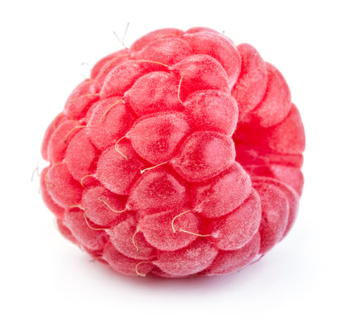 Close Up of a Fresh Red Raspberry