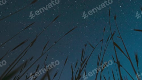 Preview: 4K Night Starry Sky With Glowing Stars And Meteoric Tracks Trails Above Young Wheat Sprouts In